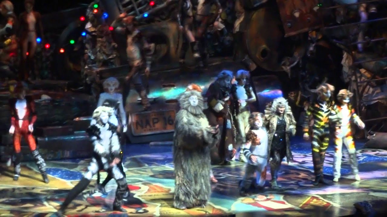 Cats - Finale