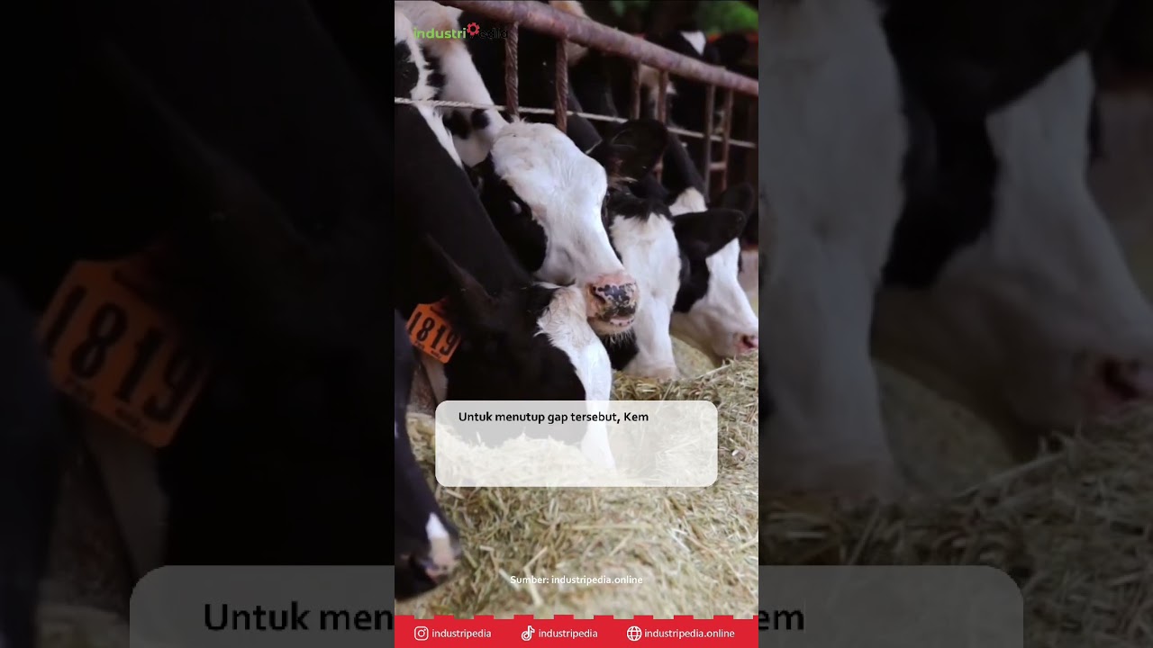 industri susu
