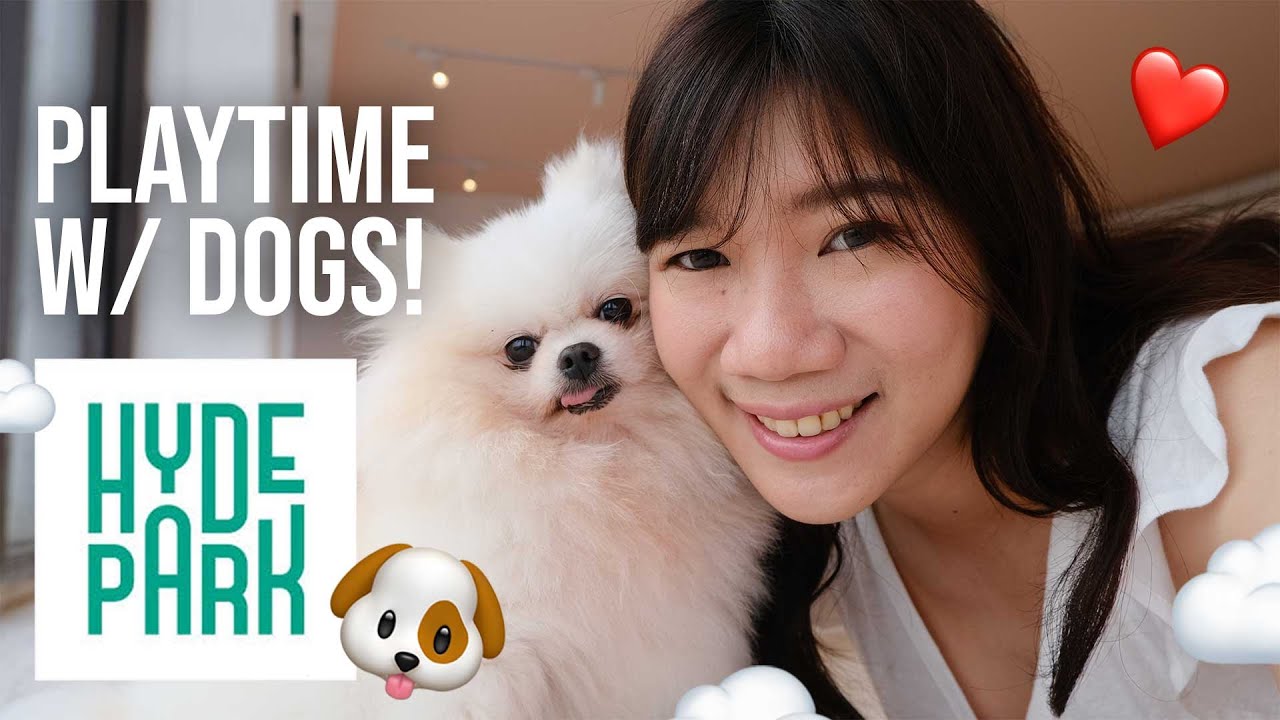 Let's Play With Dogs At HYDE PARK CENTRAL MARKET PIK | VLOG