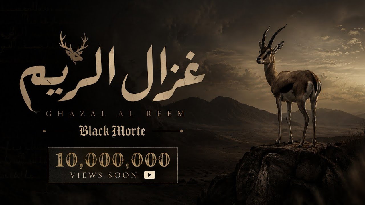 Black Morte ( ghazzal reem 🦌 غزال الريم ) بلاك مورتي 