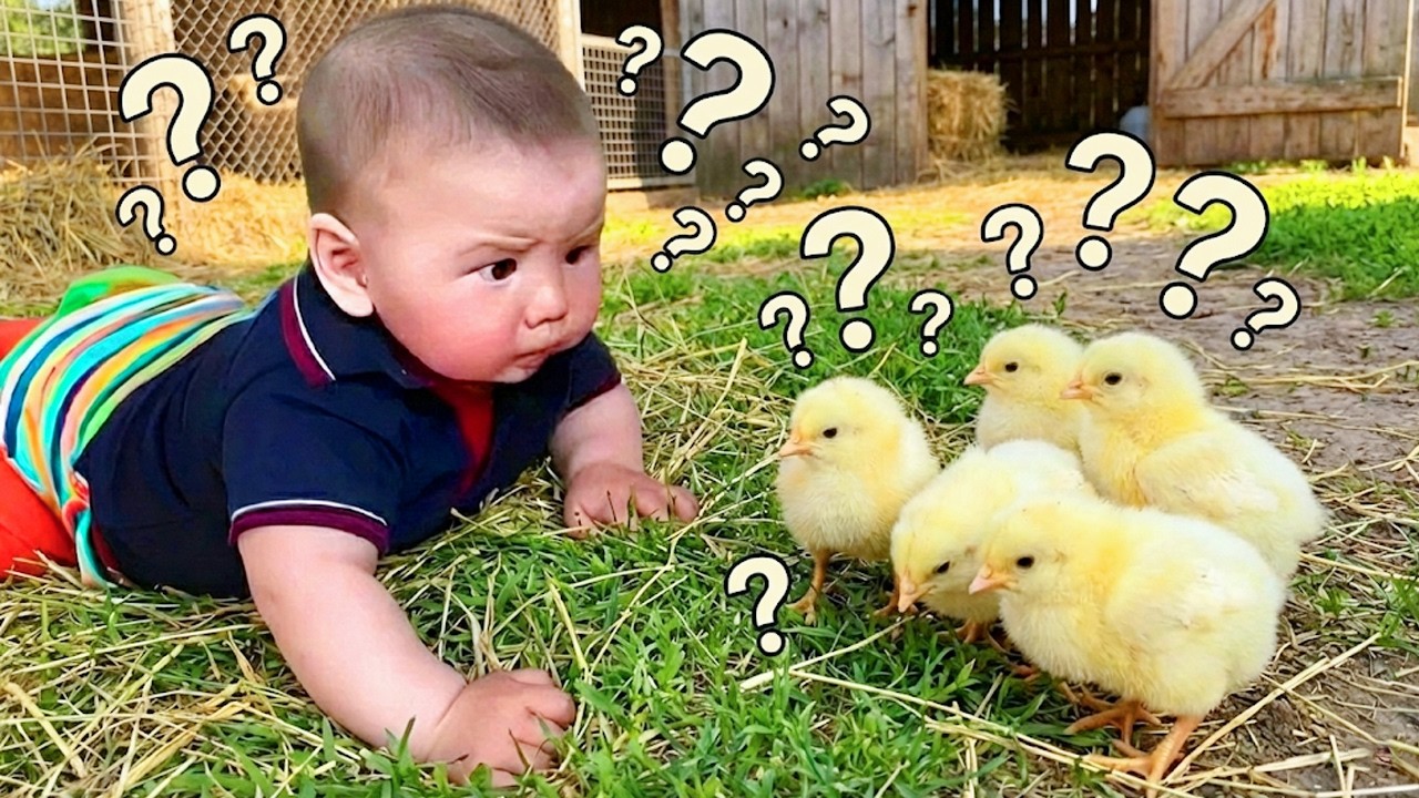 The baby's first visit to the farm was a new experience - Funny Baby and Pets🐶🥰