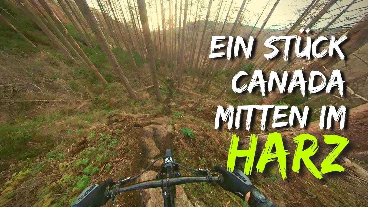 Der beste Trail im Harz??? Hier gibt's Canada-Feeling ohne Ende.