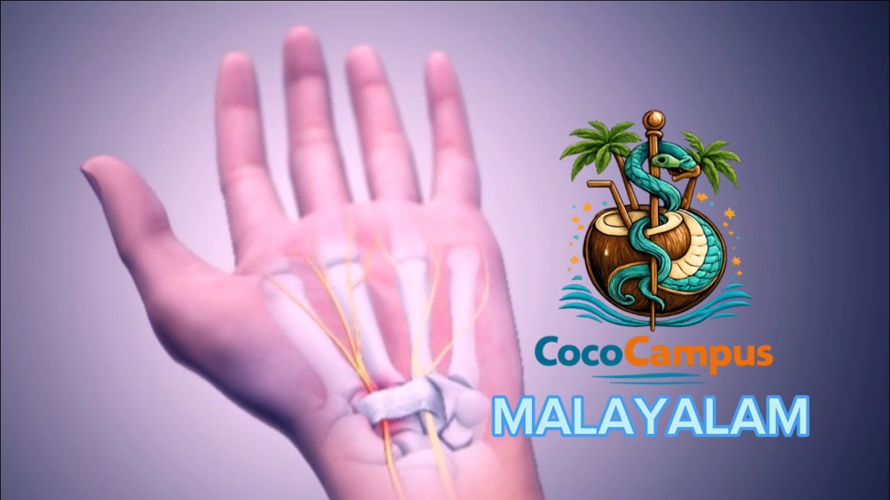 Wrist & Hand Bones: Anatomy Made Simple | Carpal, Metacarpal & Phalanges (Malayalam)
