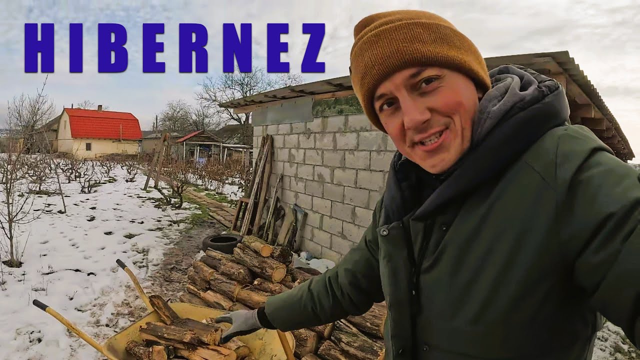 #100 ORICÂND aș renunță la ȘOFERIE pentru VIAȚA liniștită de la ȚARĂ!