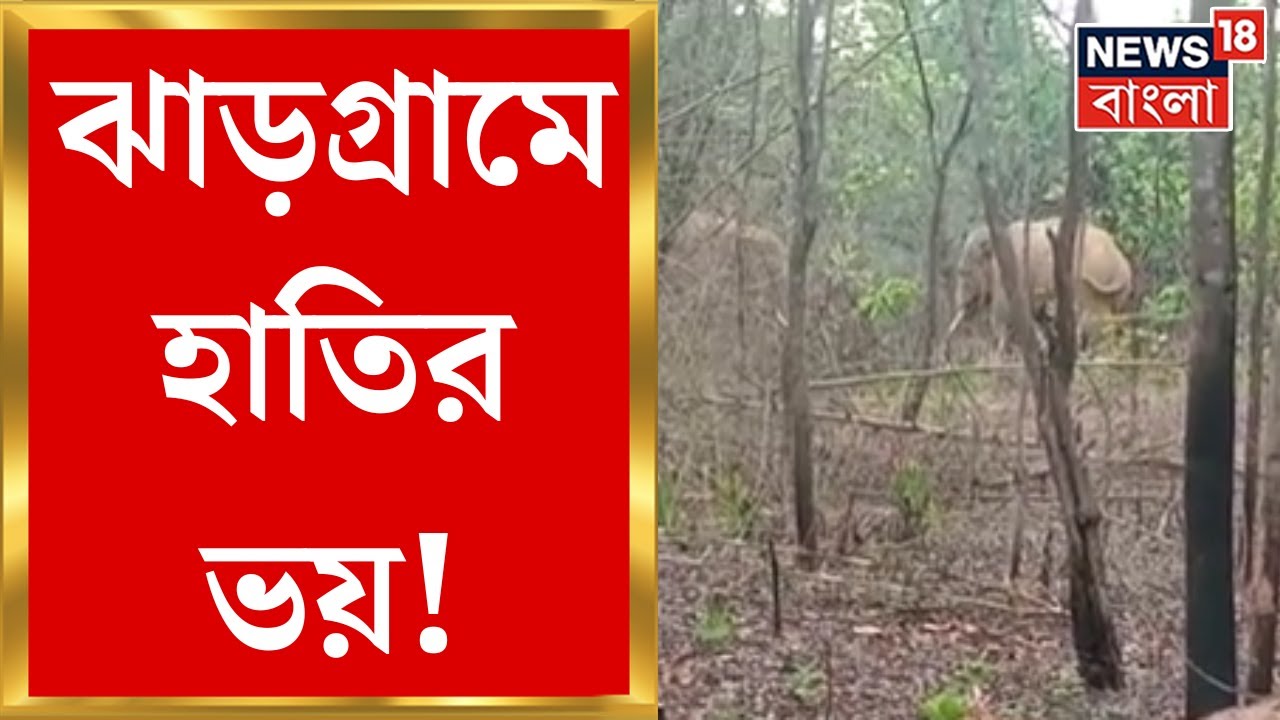 Jhargram : হাতির হানায় বাড়ছে মৃত্যু, ভাঙছে বাড়ি, ঝাড়গ্রামের ঘটনা । Bangla News