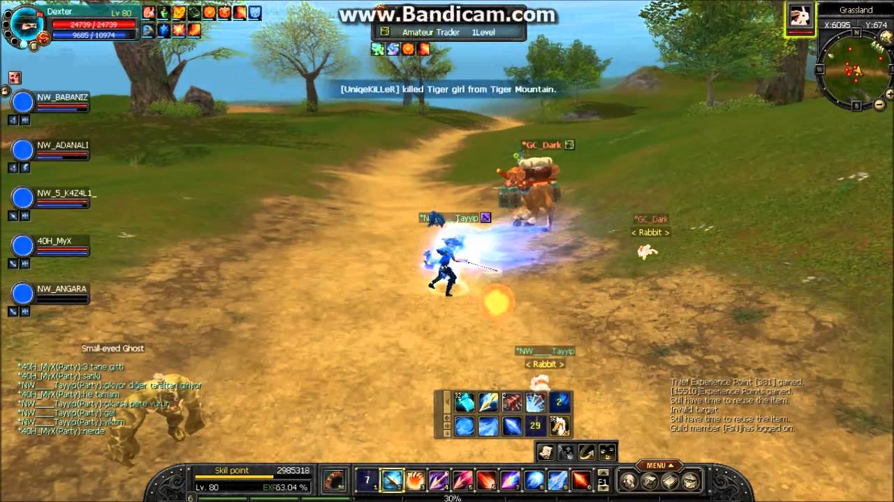Silkroad Online (Golden Sro) NightWalkerS-Dexter