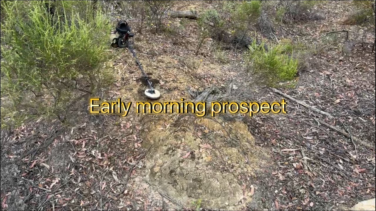 Battling the heat to find Victorian gold ￼