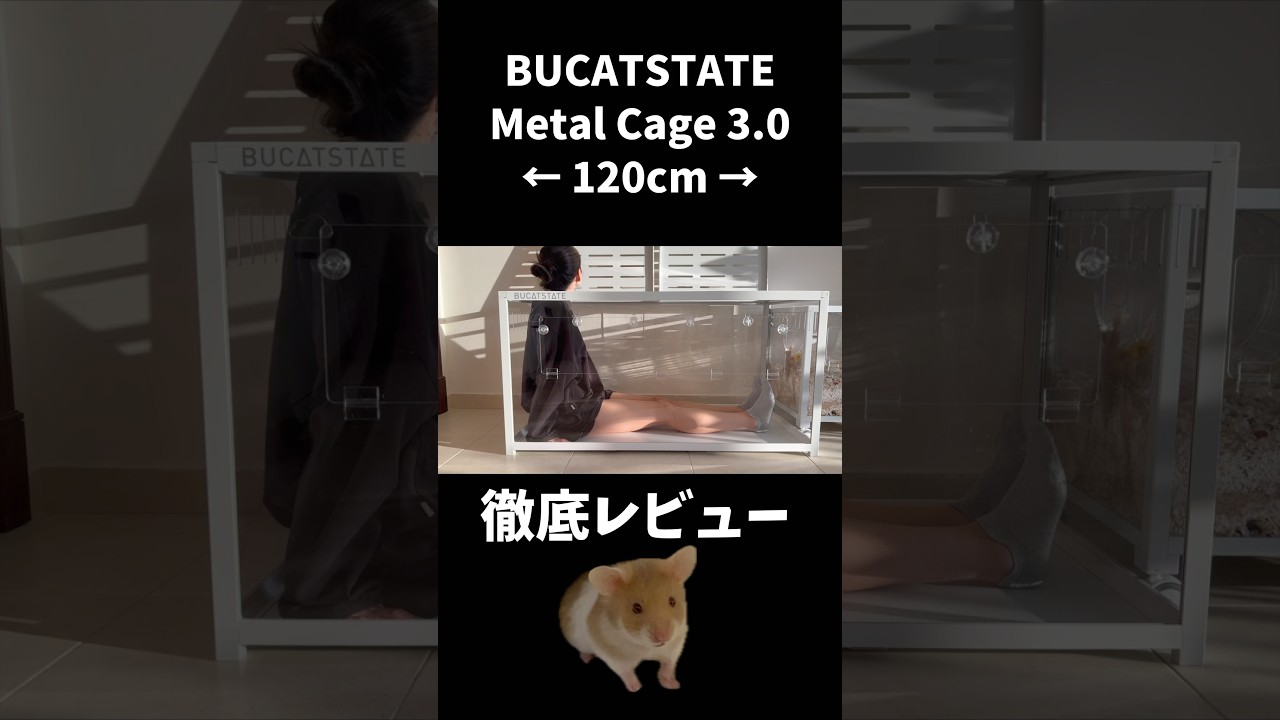 特大ハムスターケージ #BUCATSTATE レビュー #ハムスター  #ブカスター #ペット