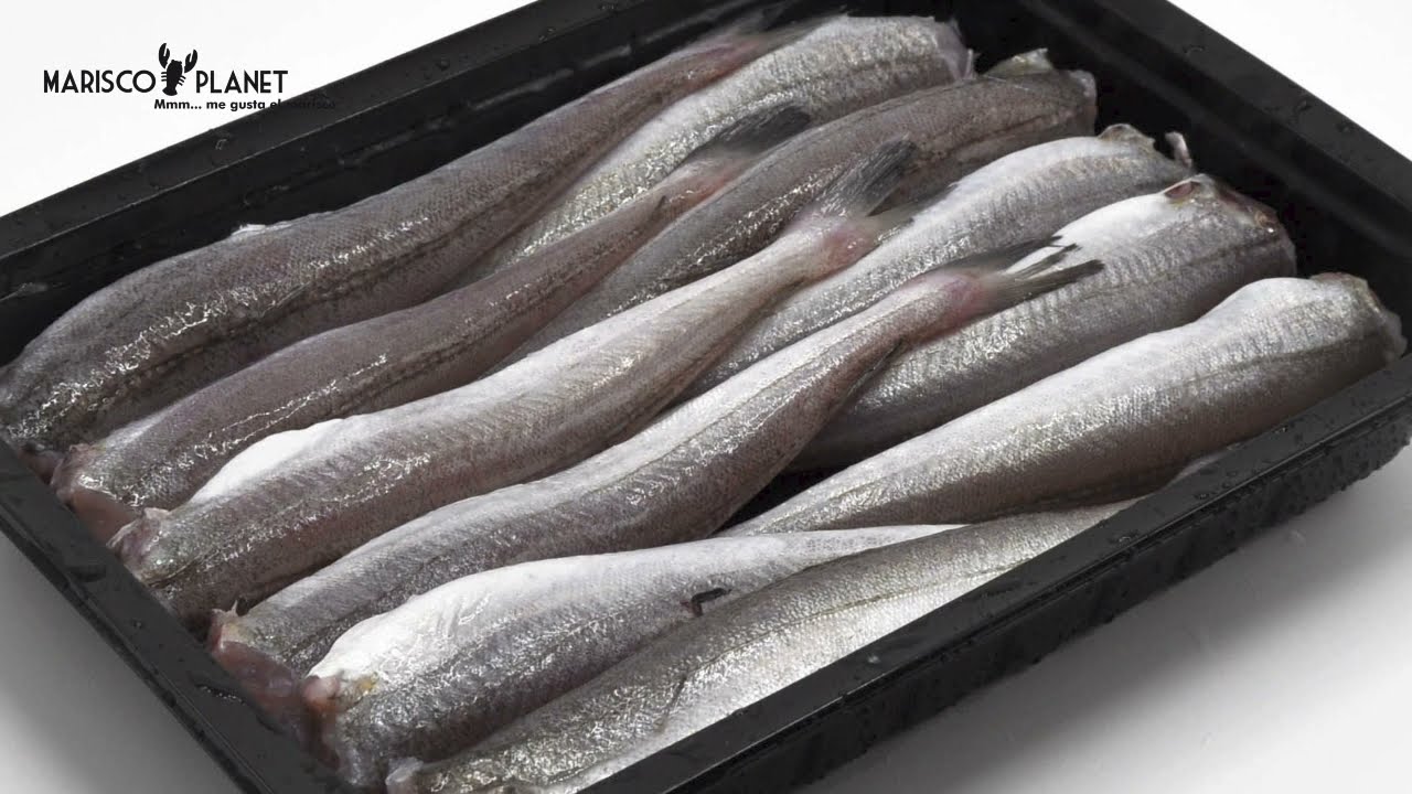 &iquest;C&oacute;mo se limpia la Pescadilla?
