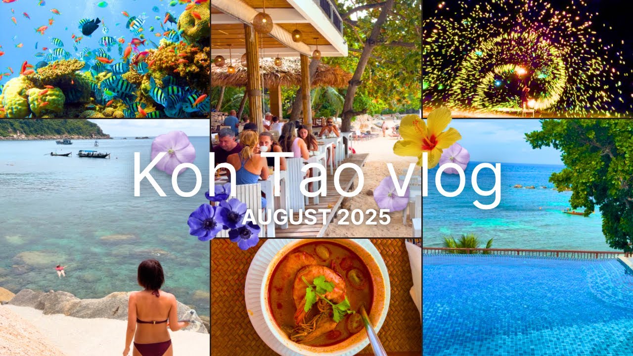 【タオ島】タイ屈指の秘境リゾートで大感動シュノーケル🐠🐚| サイデーンリゾート,koh tao,sai daeng resort,snorkeling,vlog