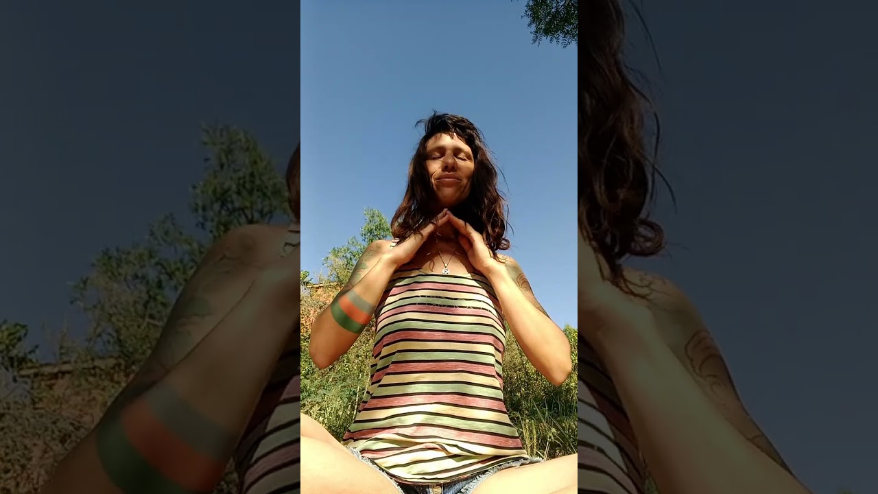 Onda Encantada del Mago - Holón Humano 