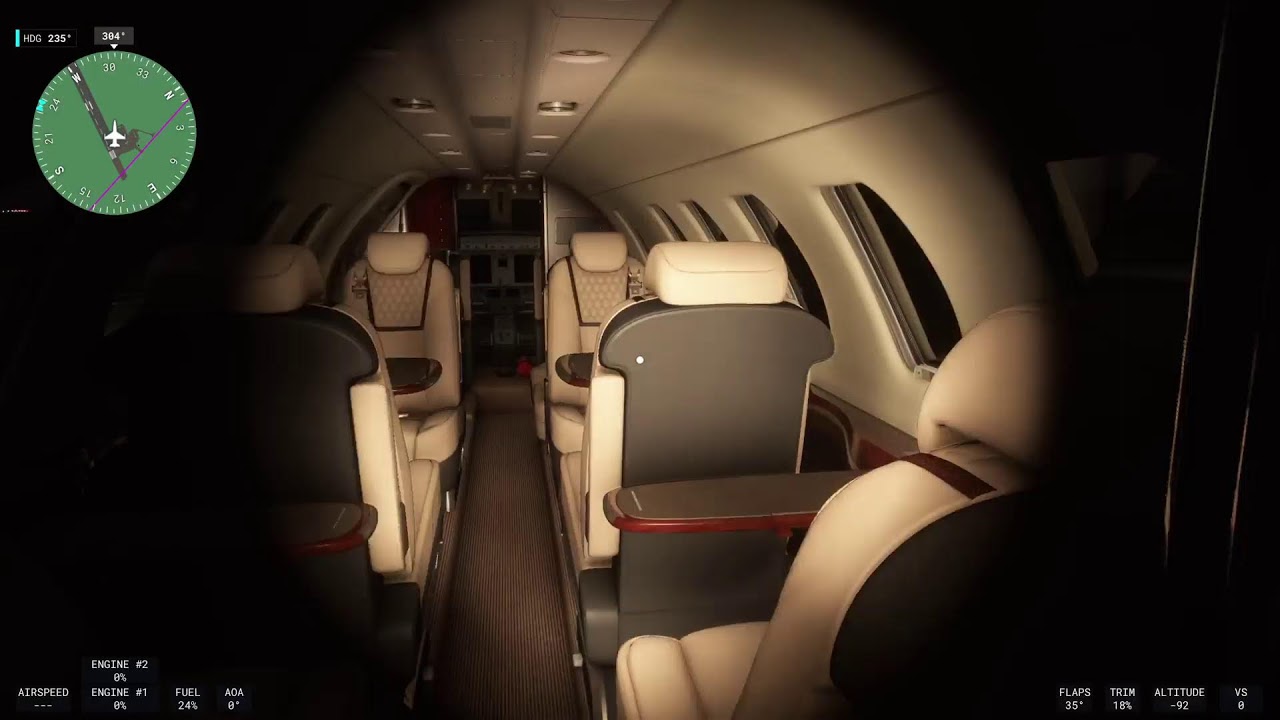Flight sim 24