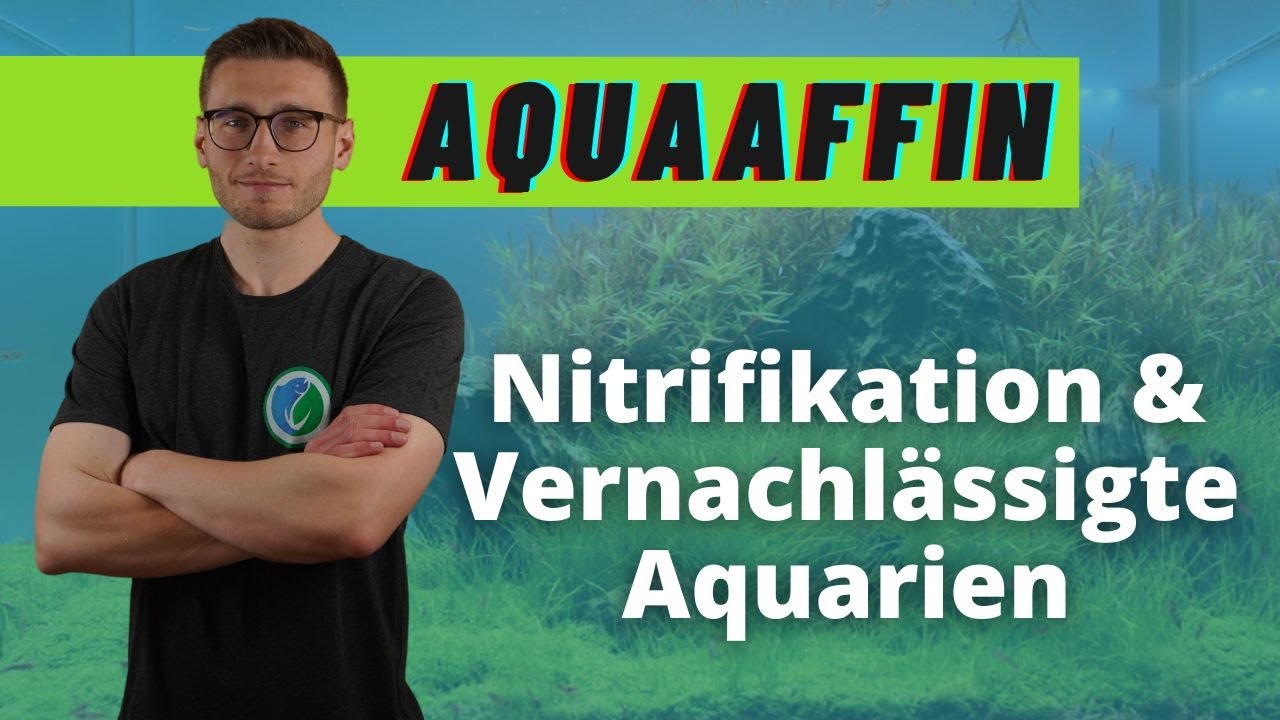 Der wichtigste Kreislauf & Vernachlässigung von Aquarien - AquaAffin #69