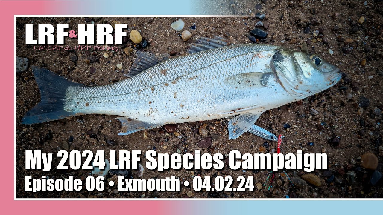 Episode 06: My 2024 LRF Species Hunt - Exmouth