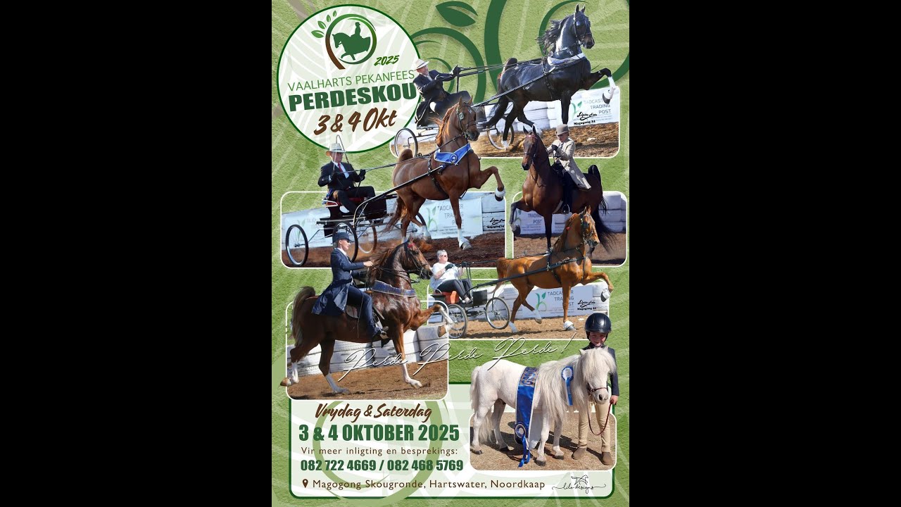 Saterdag 4 Okt (Kampioenskappe): Perdeskou by die Vaalharts Pekanfees op Magogong in die Noord-Kaap