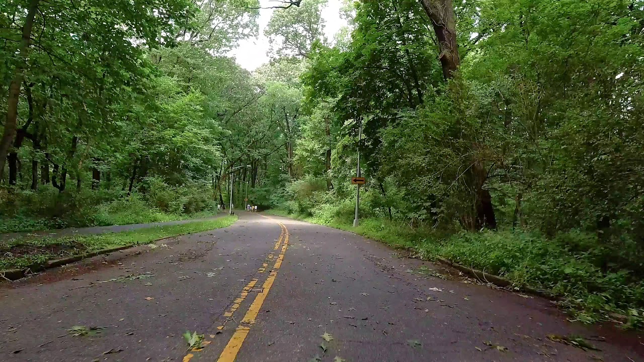 Biking in Forest Park, Queens NYC 7/11/20