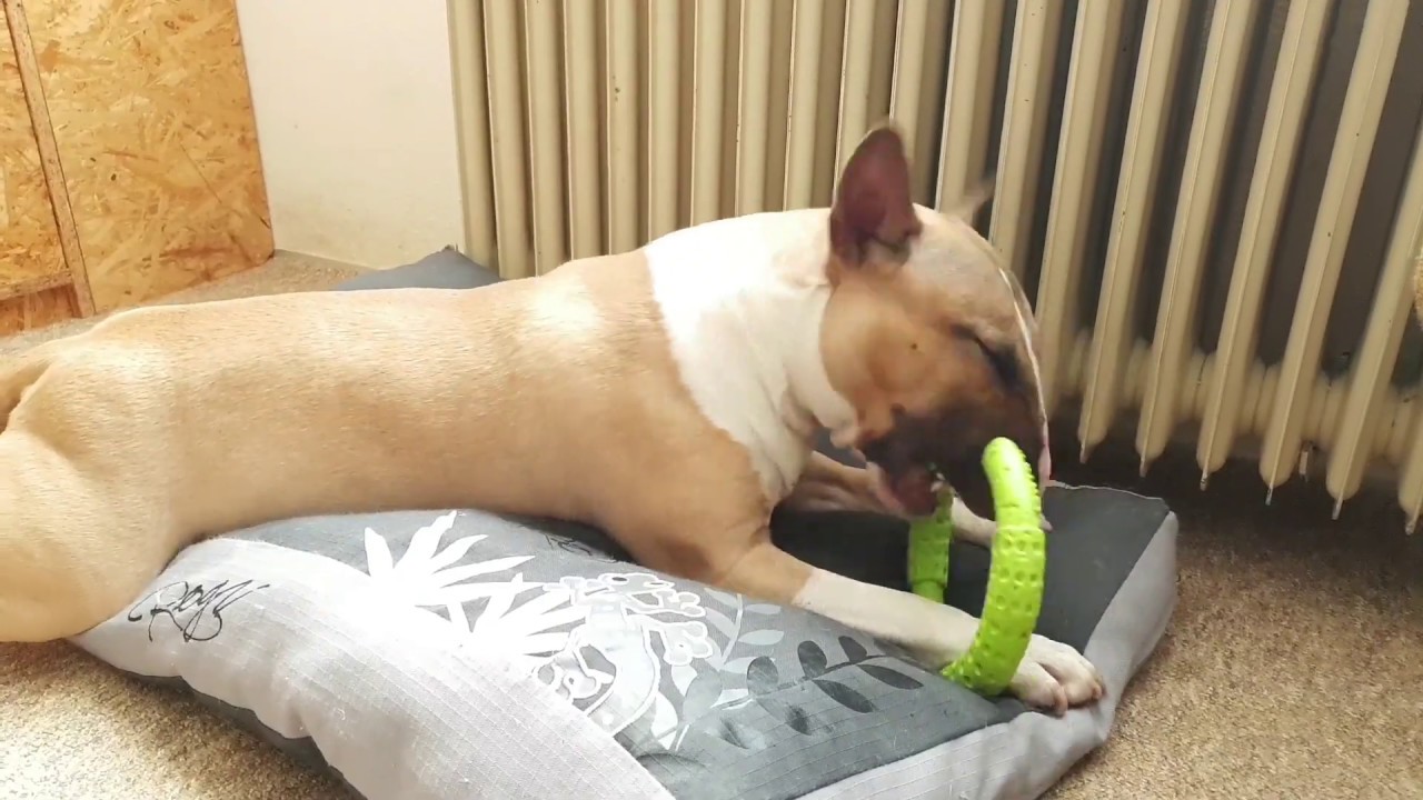 1. Kruh od firmy Kiwi Walker