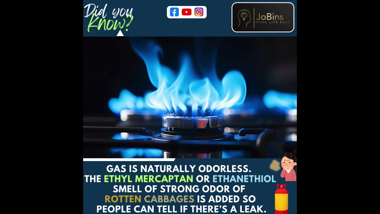 GAS Leak #didyouknow #gas #odorless #smelly#rottenplaces #odor  #householditems  #gasleak  #safety