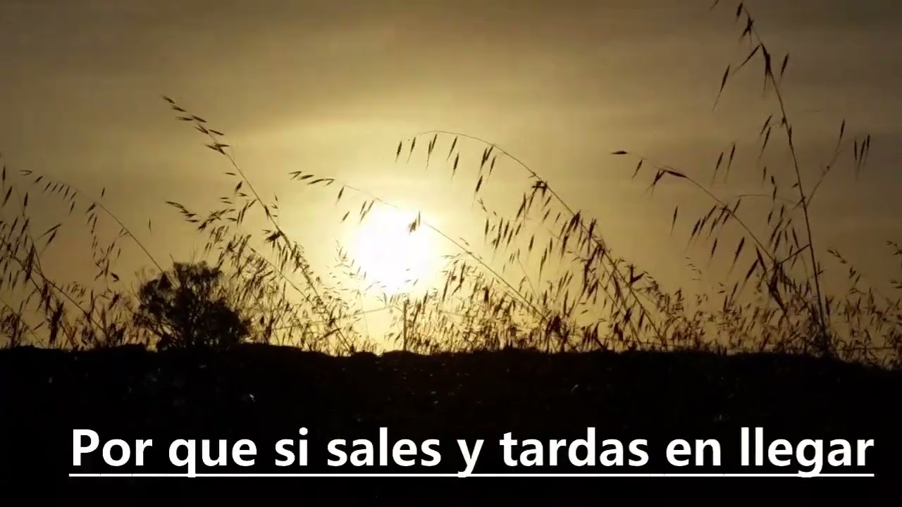 Los Kingvers De Guerrero - El Solitario
