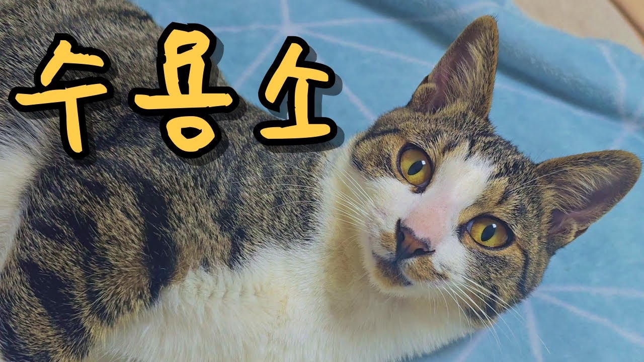 너 임마! 갇힌거야~!