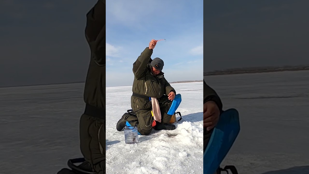 Плотва: &ldquo;корми нормально &mdash; приду&rdquo; 😂🐟  #рыбалка #fishing