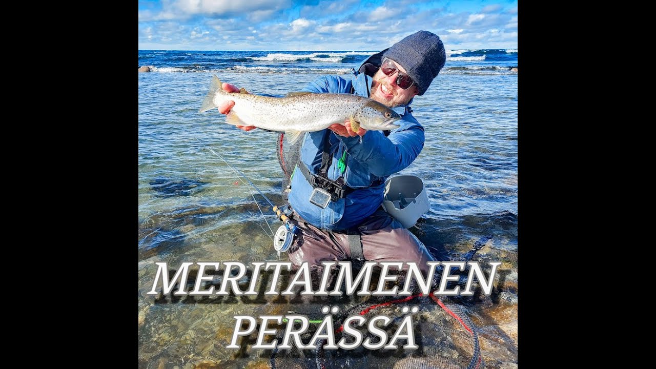 MERITAIMENEN PERÄSSÄ 2022||Destination Gotland