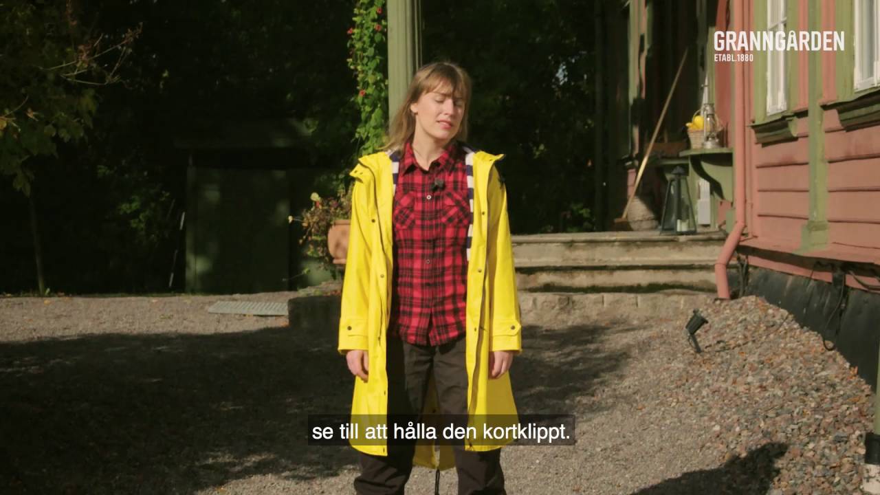 S&aring; blir du kvitt m&ouml;ssen!
