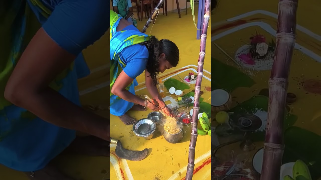 தை  இரண்டாம் நாள் சூரியன் பொங்கல் விழா 