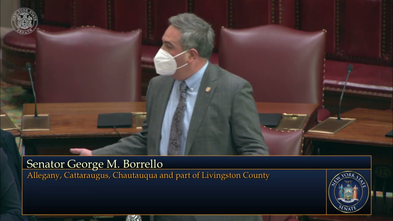 Senator Borrello's Remarks on Voting Integrity and Voting Access