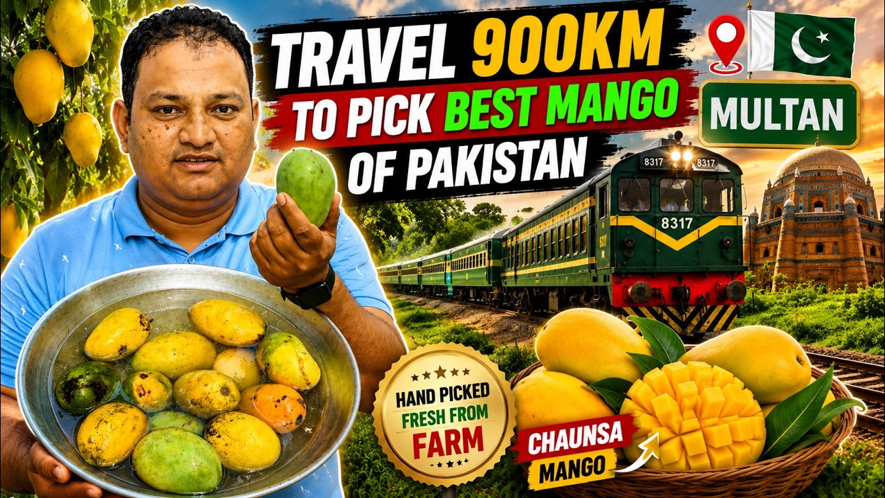 TRAVEL 900KM FOR BEST MANGO OF PAKISTAN 🇵🇰 | MULTAN CHAUNSA MANGO TOUR | MULTAN SERIES.