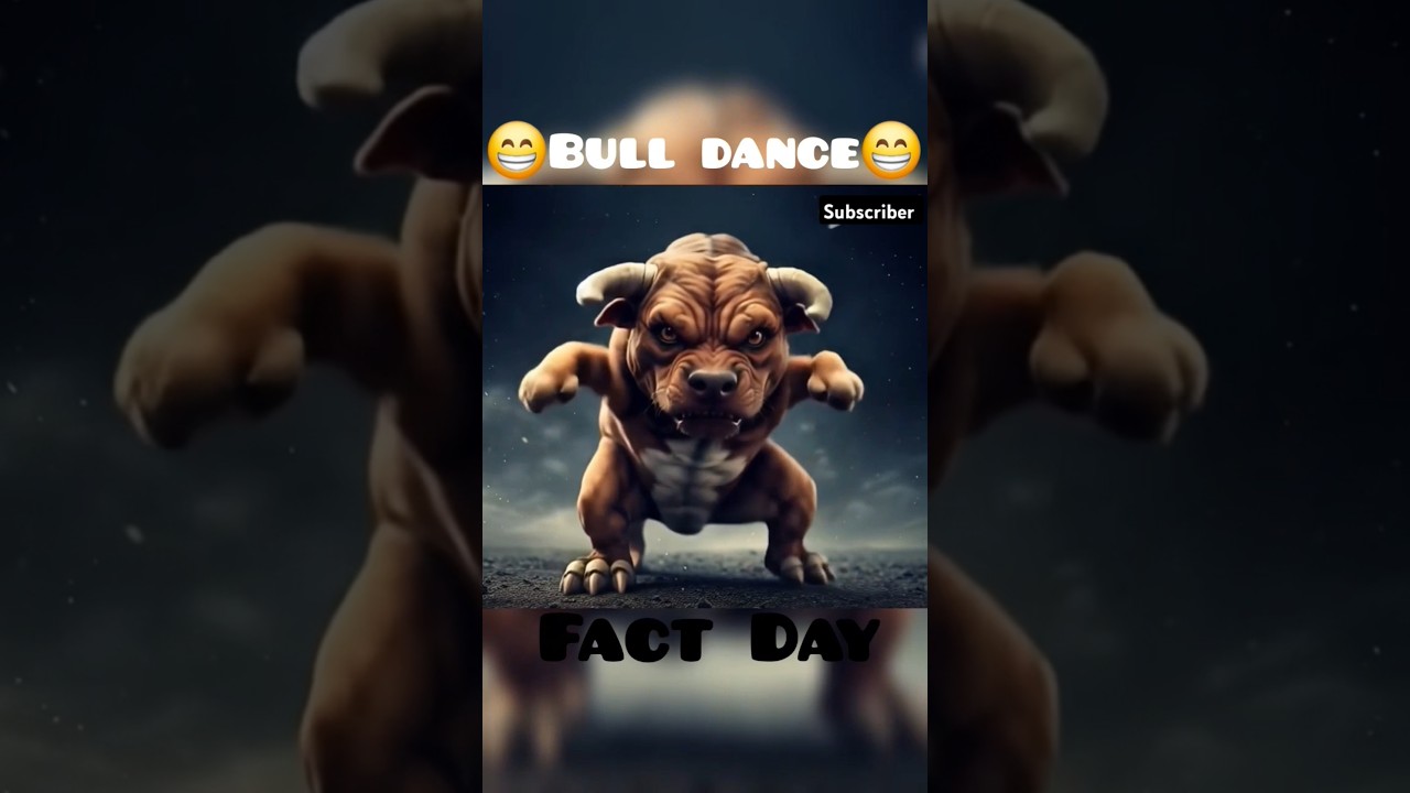 Funny bull dance 😀 