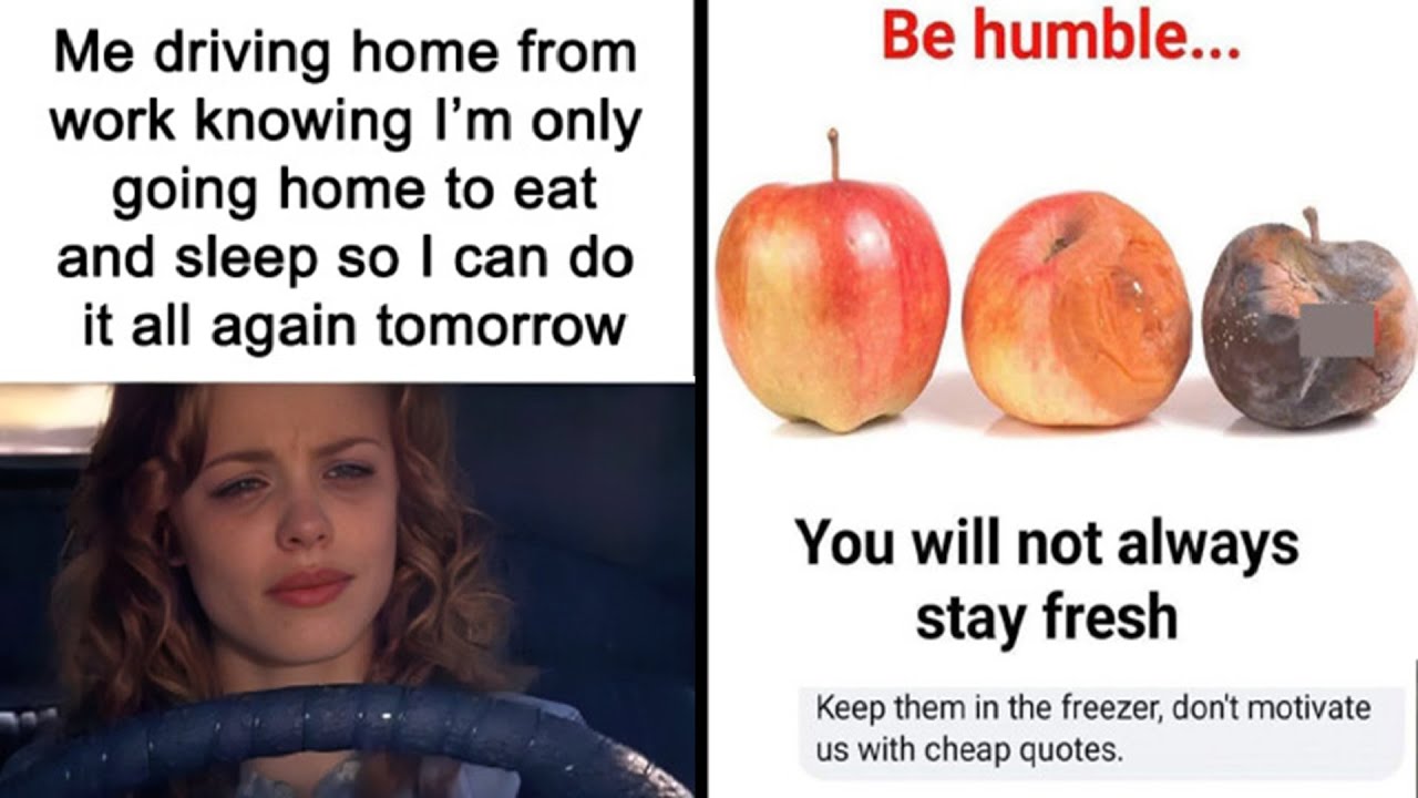 Funny Memes That Might Make You Laugh | HahaHub