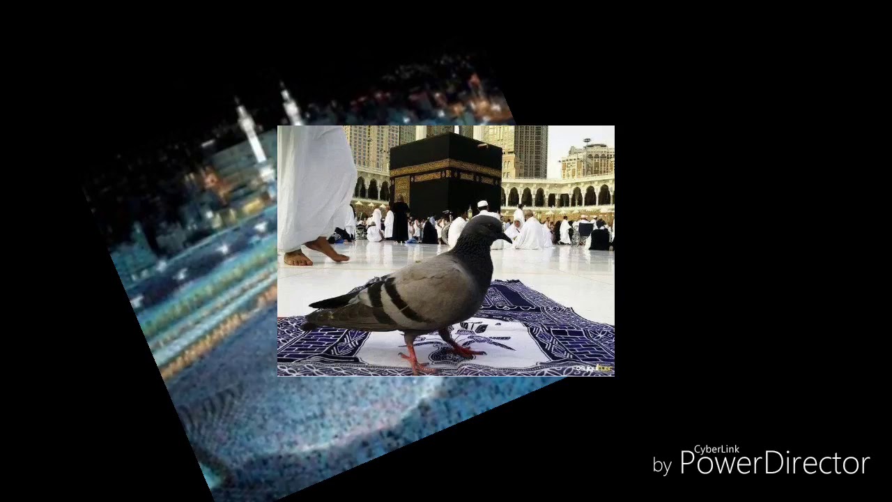 Surah Yaseen (Ayat18Onwards)- Most Emotional Recitation,Will make you cry