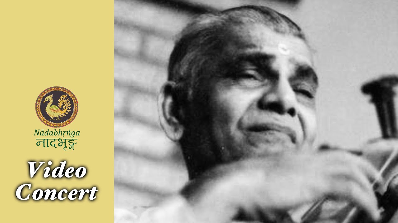 K V Narayanaswamy - Television Interview and concert, early 1990's