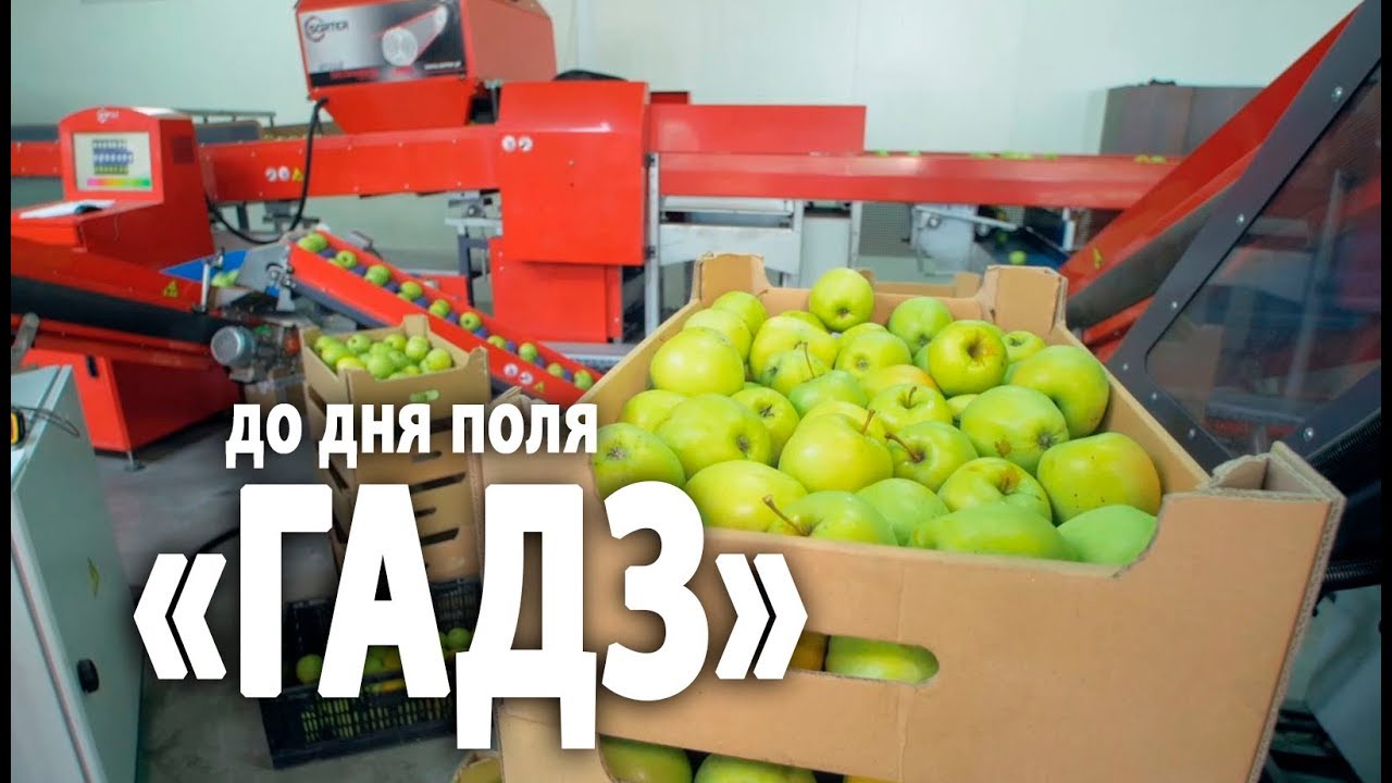 ДО ДНЯ ПОЛЯ  ГАДЗ САДИ 2018