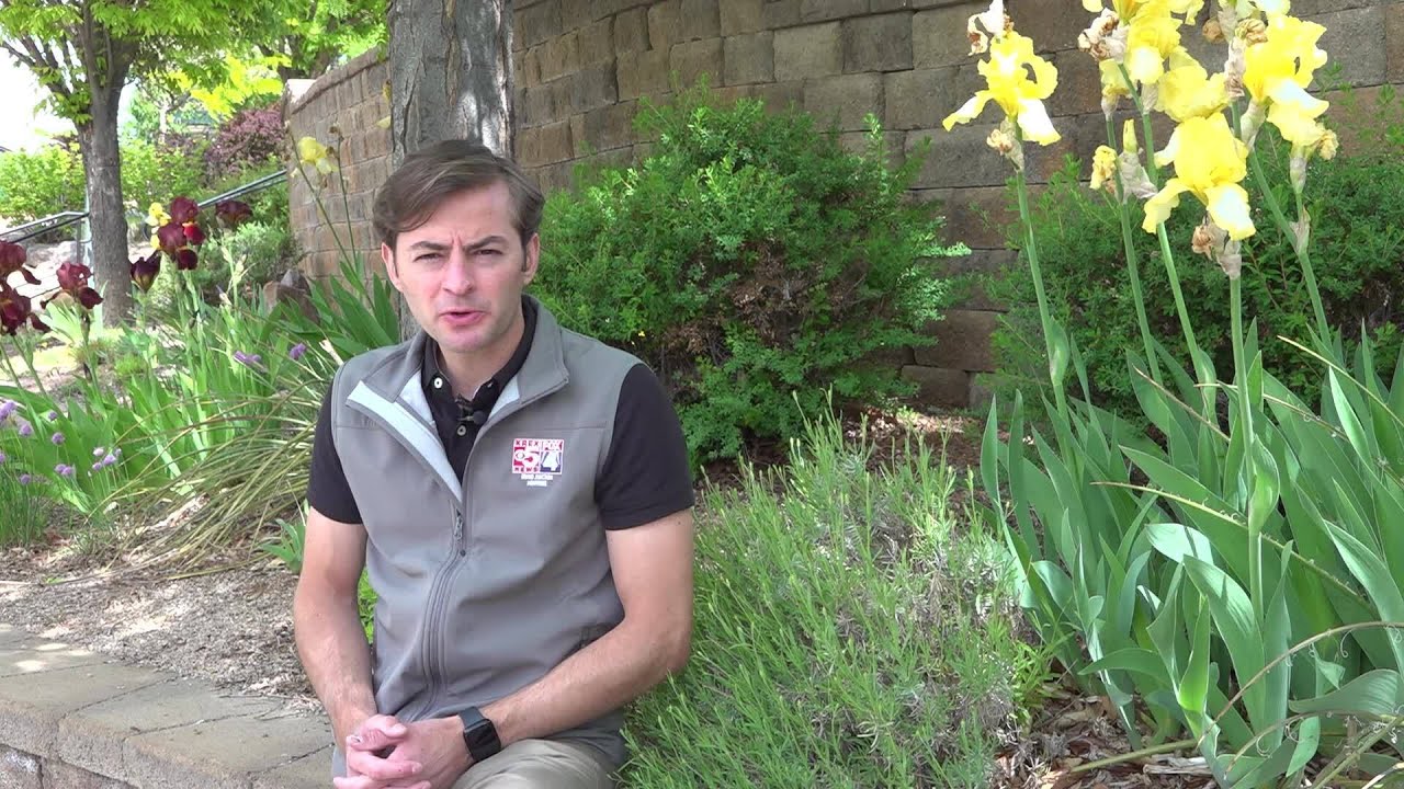 First week of May is Air Quality Awareness week
