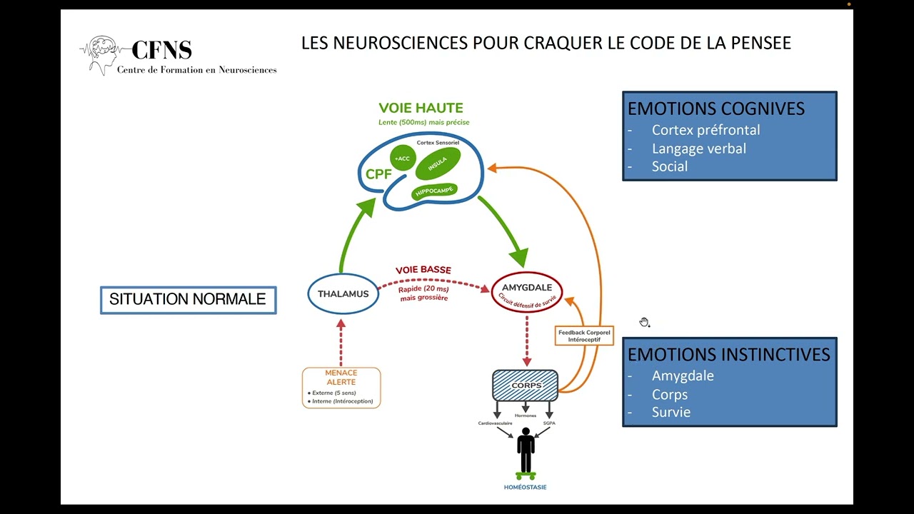 Neurosciences Dr Philippe Pencalet