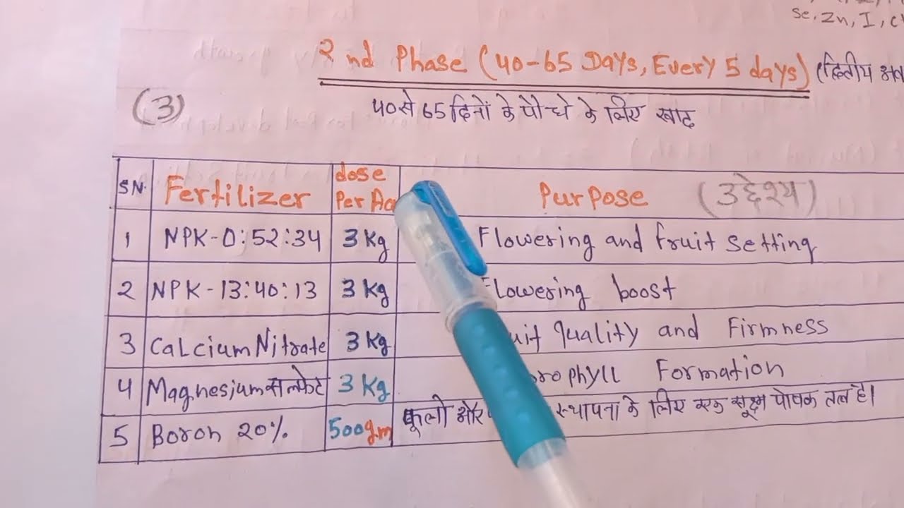 ⚠️Kheere ki khad shedule, खीरे की खेती का खाद शेड्यूल । 🥒Fertizetion of cucumber 🥒😱 खीरे में खाद ?