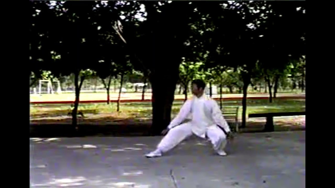 郭冬寶老師忽雷架基本拳架（不含內勁）