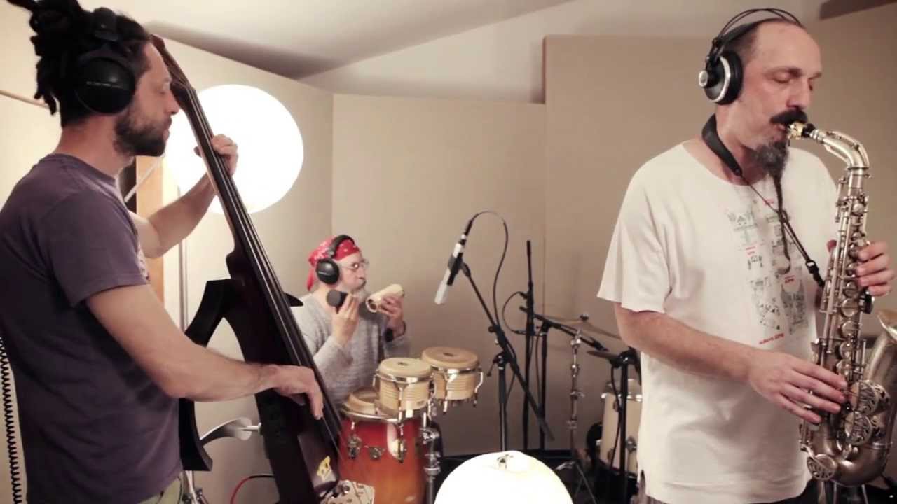 ATTIC Sessions //Fish in oil//