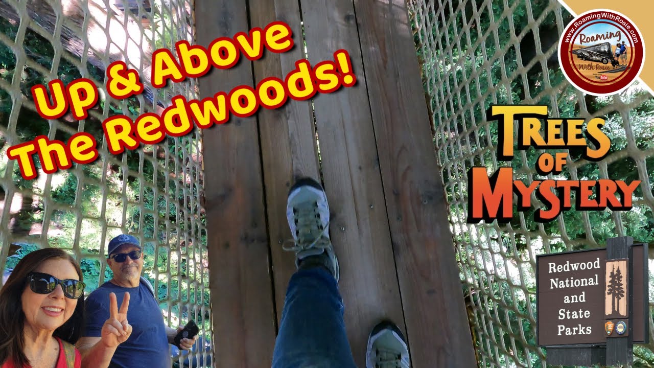 Go Up Into The Redwood Trees at California's Trees of Mystery | Prairie Creek Redwoods State Park