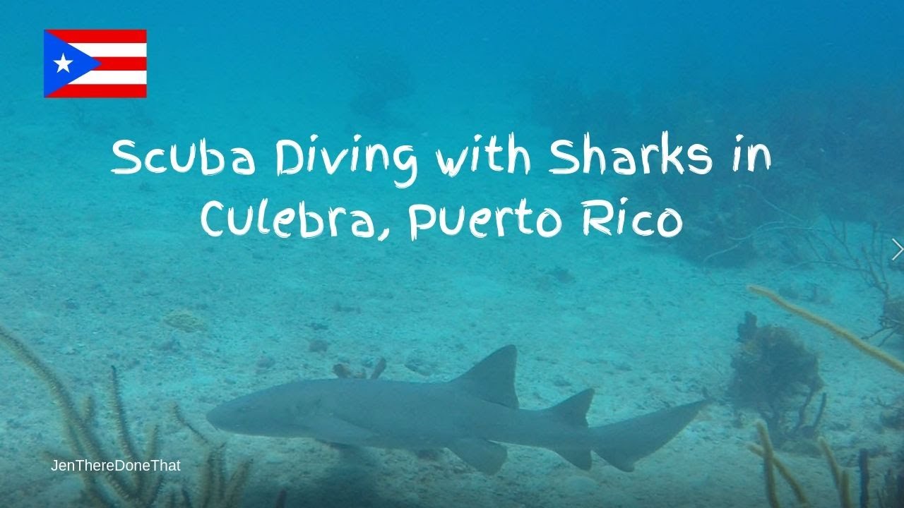 Scuba Diving with Sharks at Culebra Island, Puerto Rico