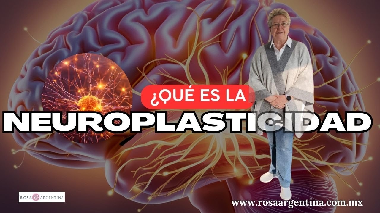 ¿QUÉ ES LA NEUROPLASTICIDAD?