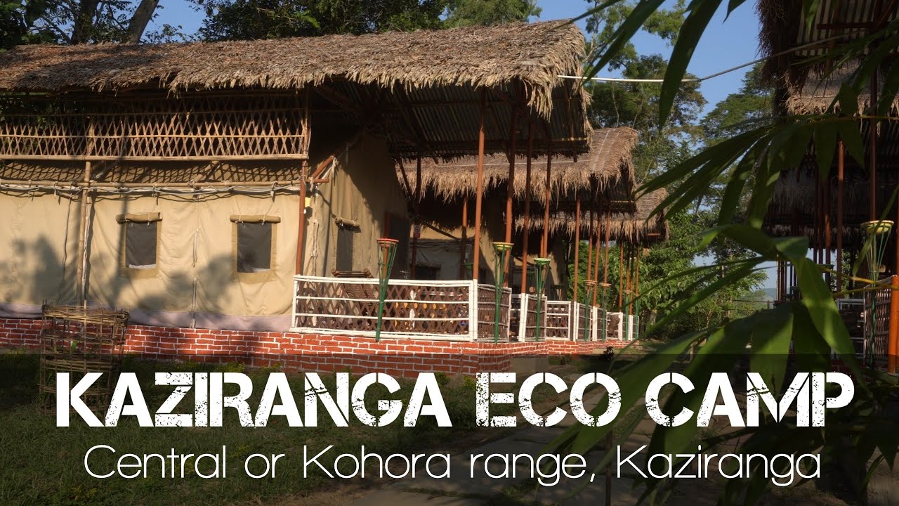 Kaziranga Eco Camp | Hotel in Kaziranga | #kazirangaecocamp #kaziranga #hotels