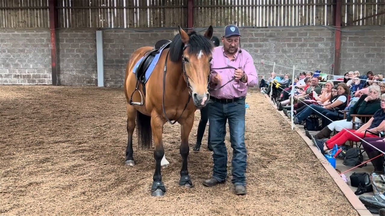 Big changes shown in this horse! A lot to learn in this video!