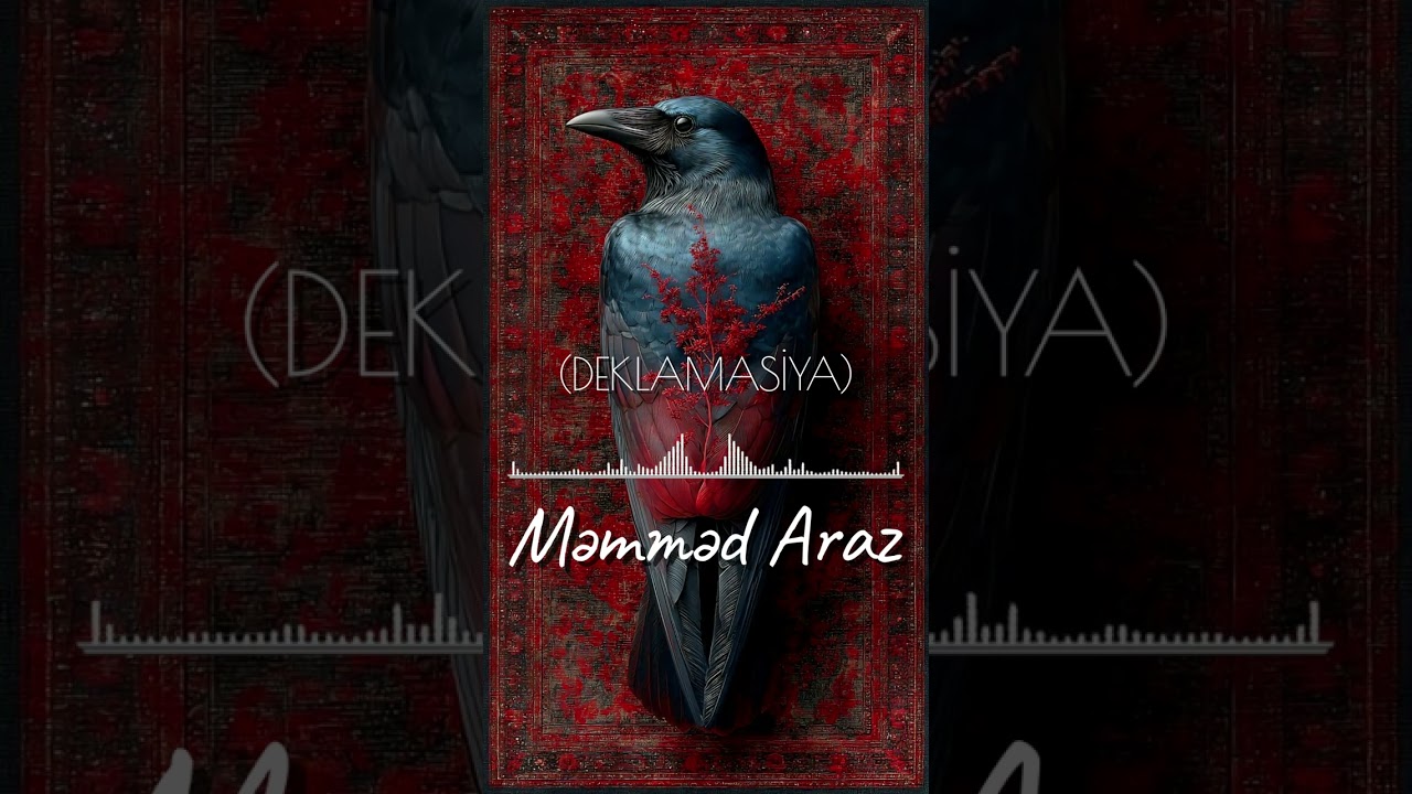 Məmməd Araz- sən getdin