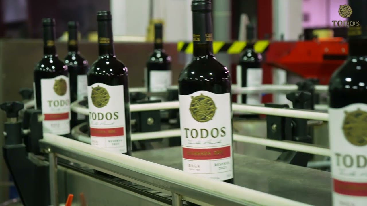 Produção do vinho Todos Reserva Tinto / Production of Todos Red Reserva wine