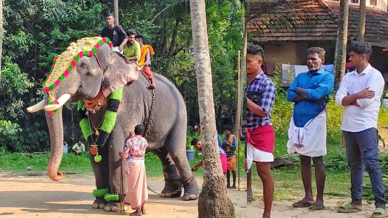 തോട്ടയ്ക്കാട് വിനായകനെ കാണാൻ കുഞ്ഞുമോൻ ചേട്ടനും😍 | Thottekkad  vinayakan @Anjoor perunnal