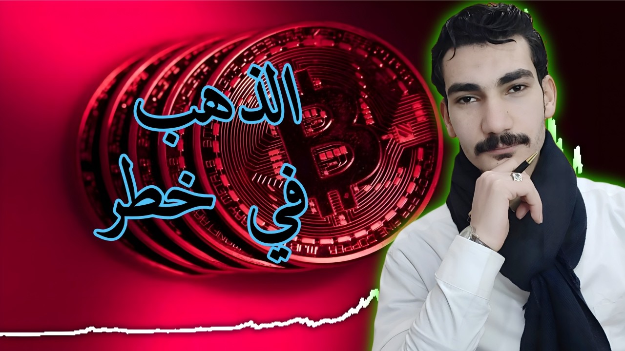 الجميع يشتري الذهب… لكن ماذا لو كانوا مخطئين؟