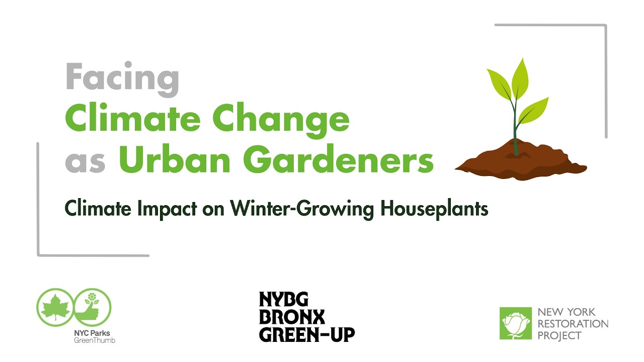 Facing Climate Change as Urban Gardeners - Climate Impact on Winter Growing Houseplants